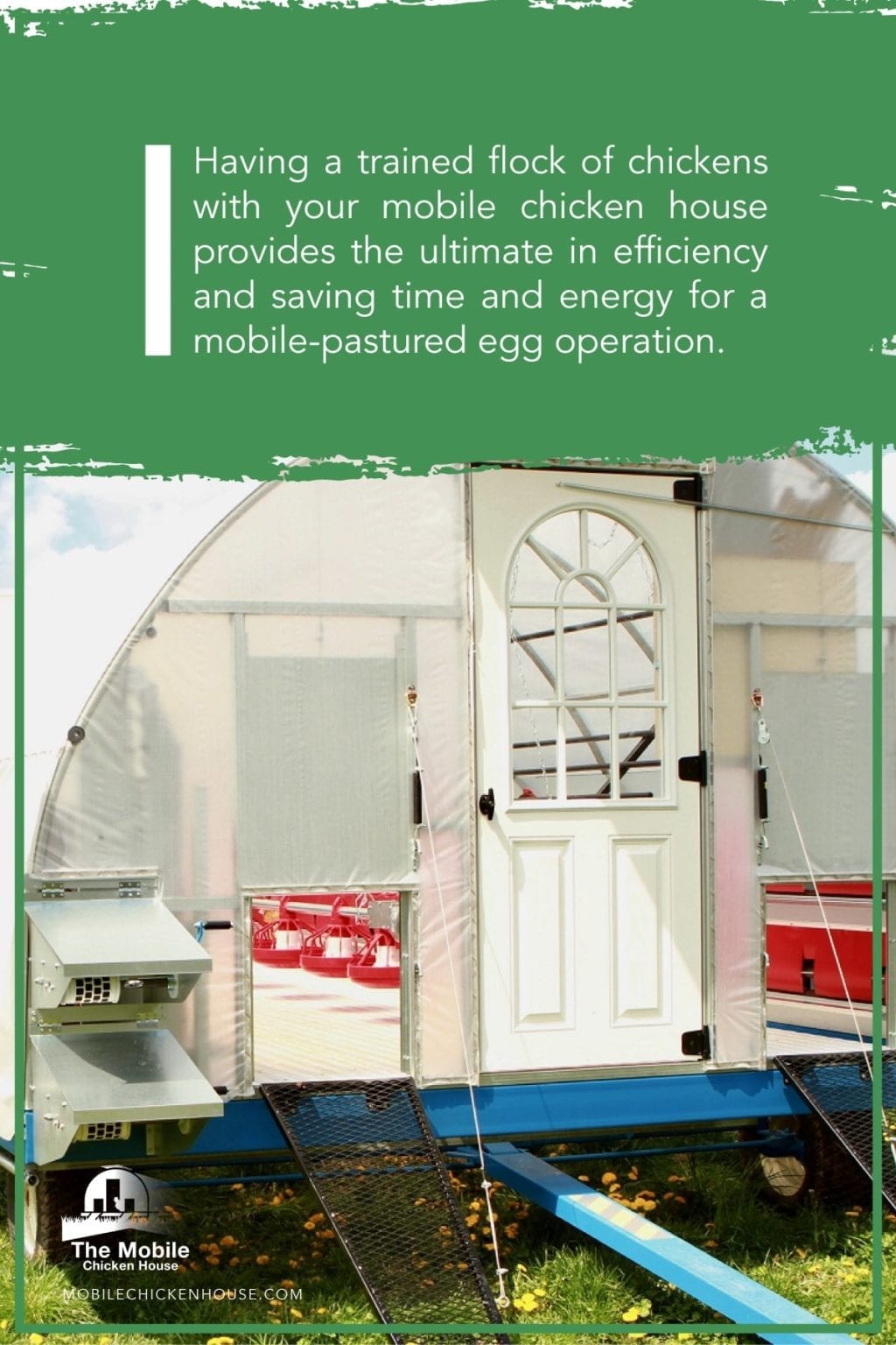 The Ultimate Guide To Training Chickens The Mobile Chicken House