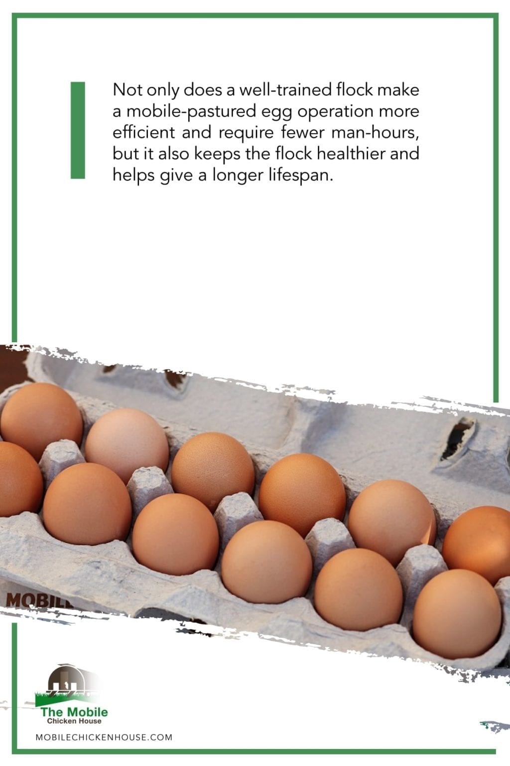 The Ultimate Guide To Training Chickens The Mobile Chicken House