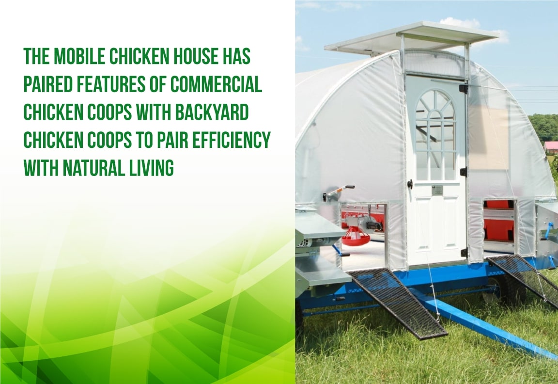 mobile broiler houses pair efficiency with natural living