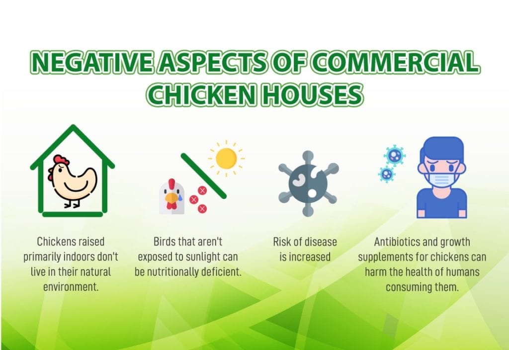 The Key To Sustainable And Profitable Broiler Housing