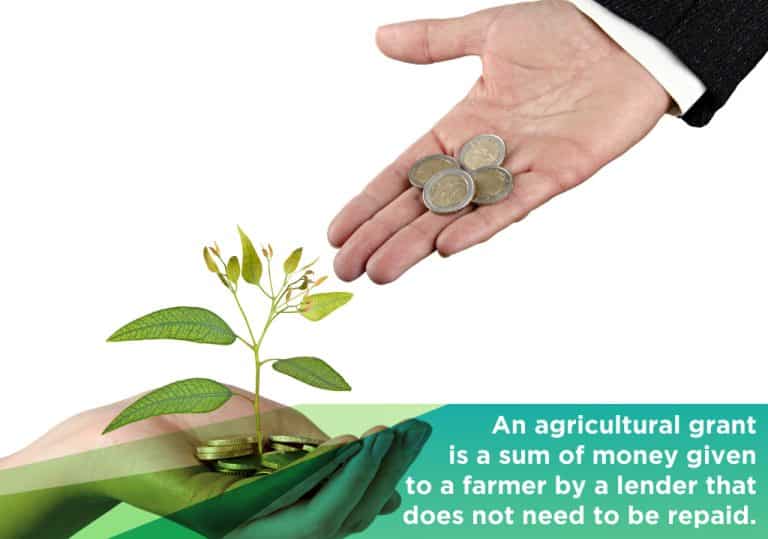 Which Type of Agricultural Grant is Best For You?