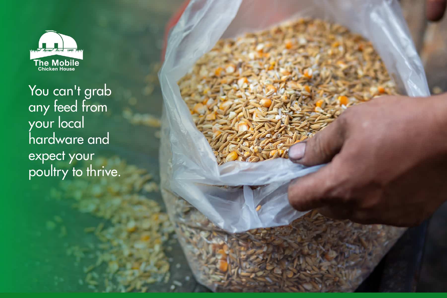 High quality poultry feed High quality poultry feed