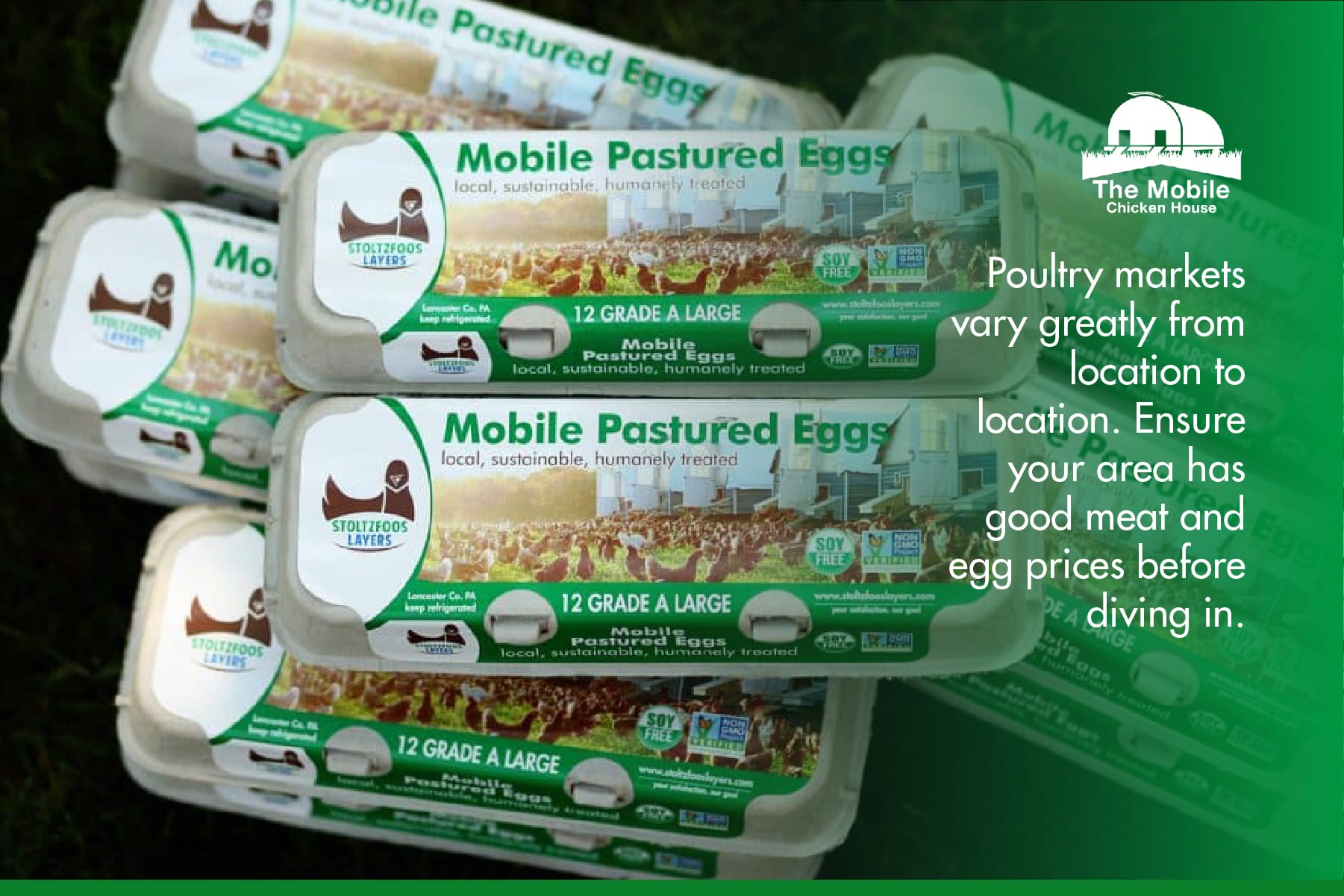 Marketing pastured raised eggs