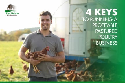 4 Keys To Running A Profitable Pastured Poultry Business 9