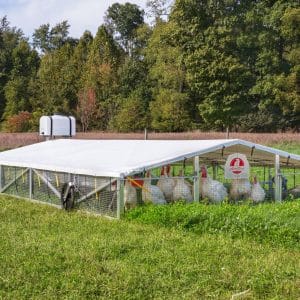 Mobile Chicken Coop & House 6