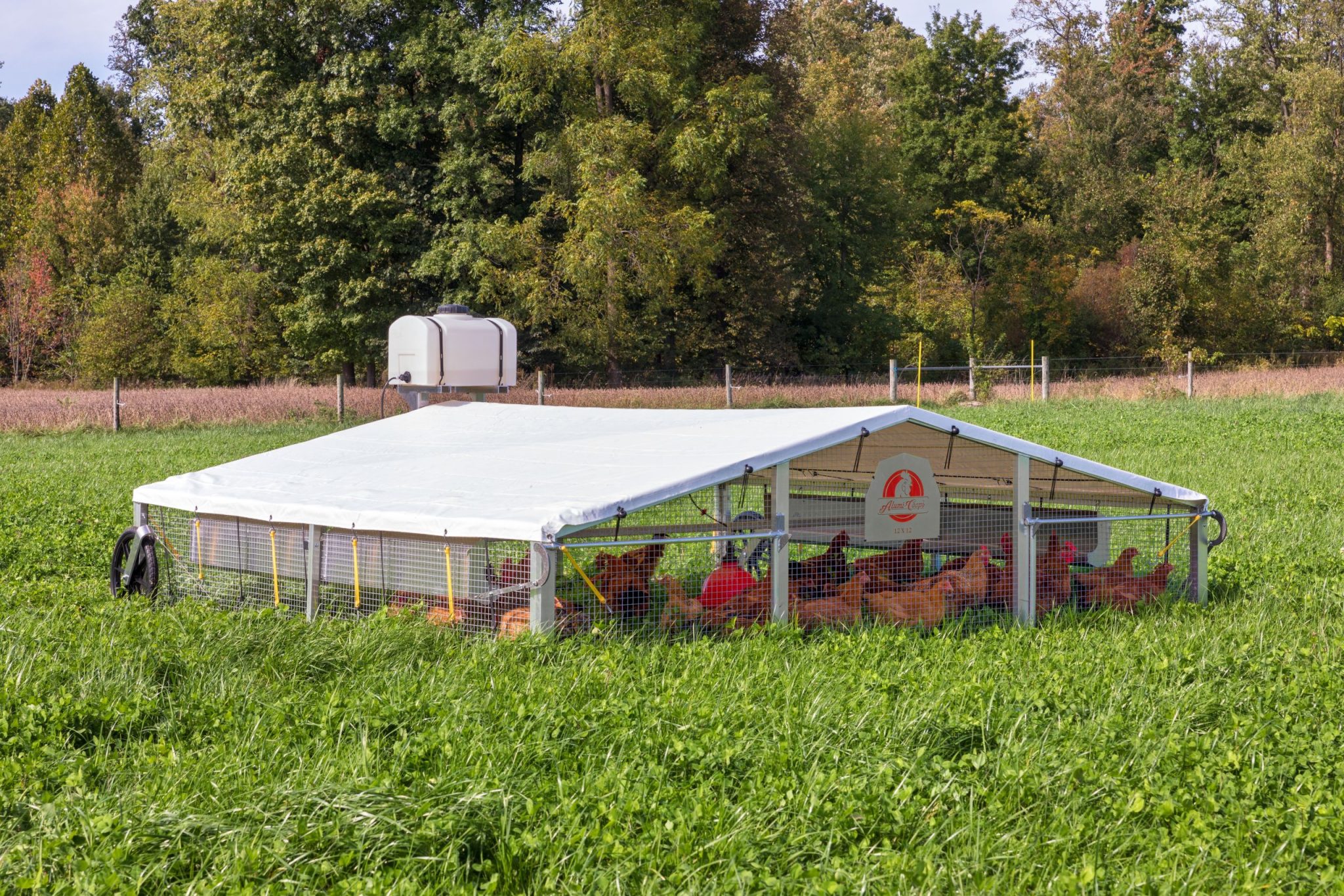 12x12 Alumi Portable Chicken Coop - The Mobile Chicken House