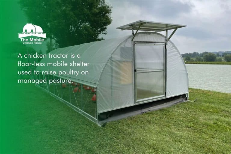Everything You Need To Know About Hoop Chicken Tractors