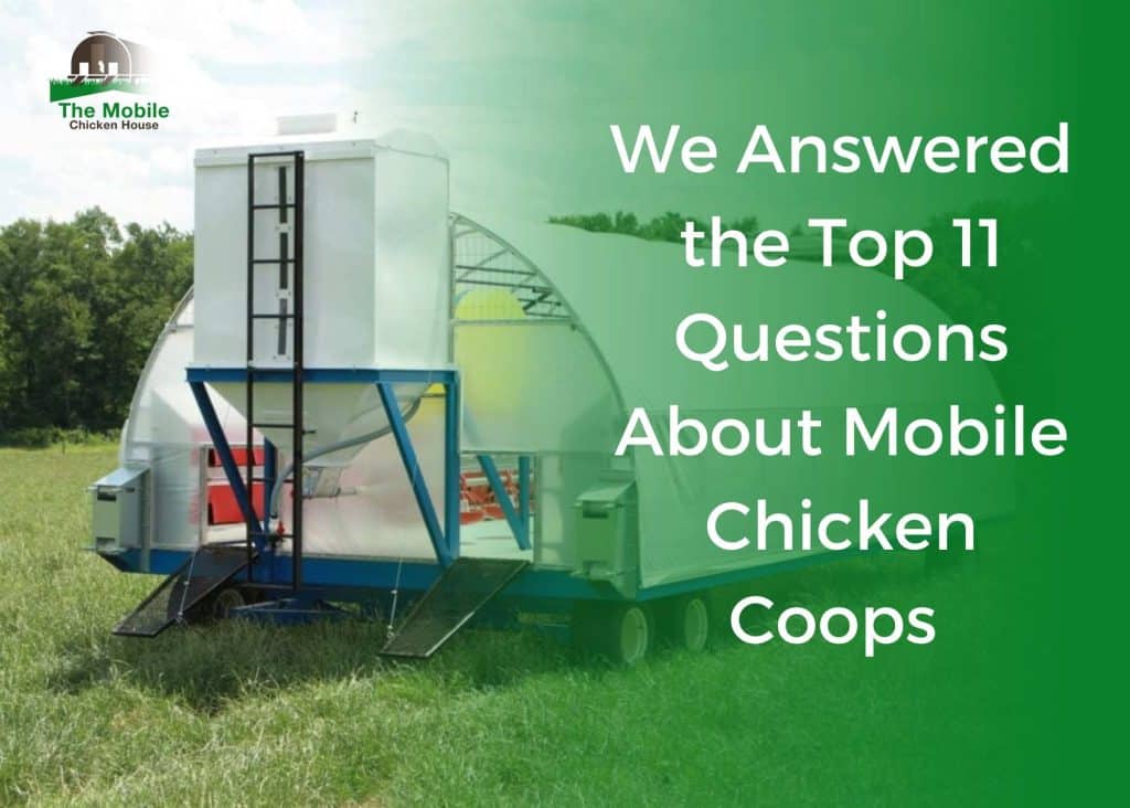 We Answered The Top 11 Questions About Mobile Chicken Coops 7