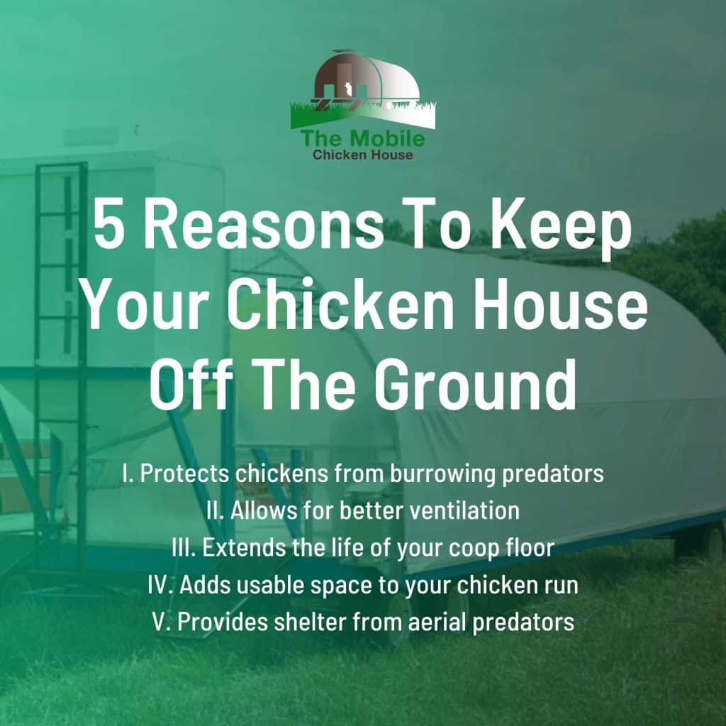 We Answered The Top 11 Questions About Mobile Chicken Coops