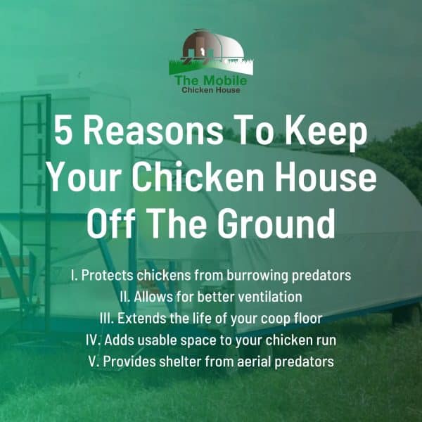 We Answered The Top 11 Questions About Mobile Chicken Coops