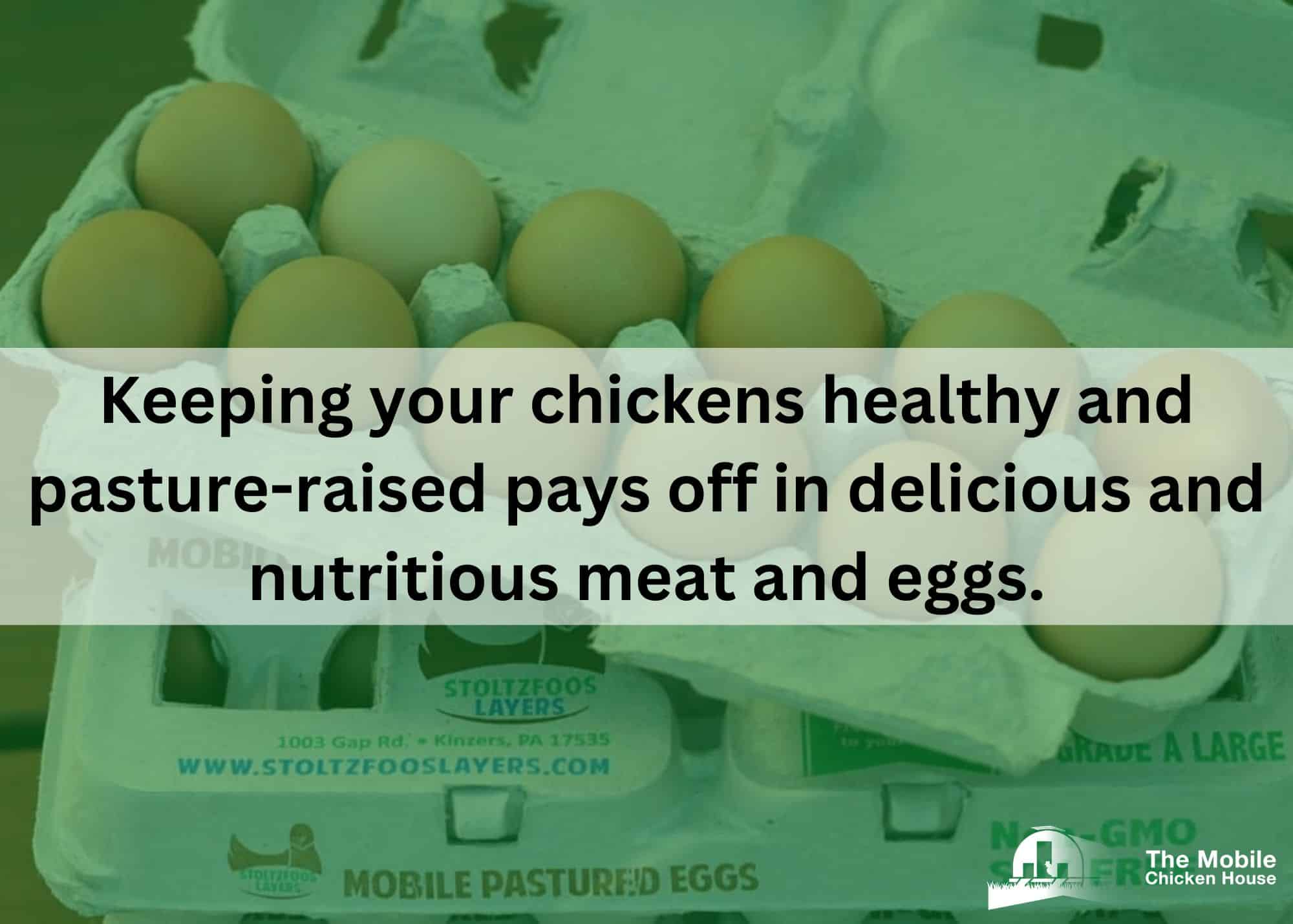 keeping your chickens healthy and pasture-raised