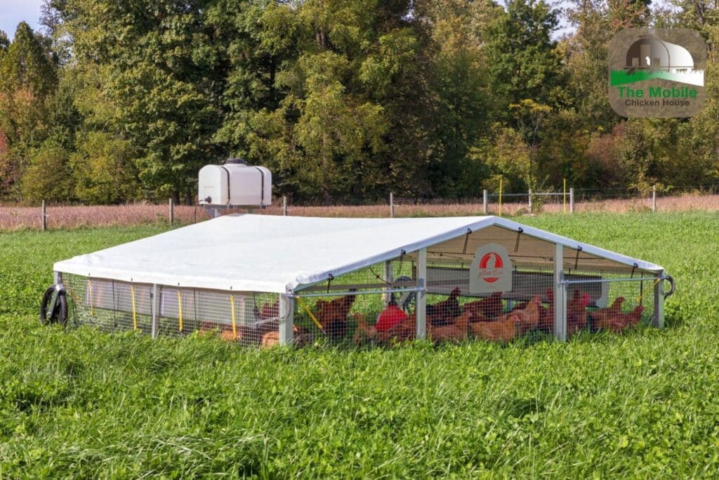 Unlocking the Potential of Pastured Poultry and Livestock with The Mobile Chicken House 4