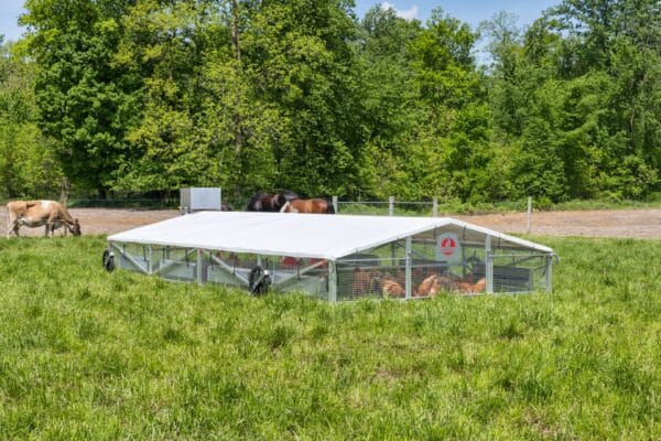 A mobile chicken coop with a white roof sits on a grassy field, while horses graze in the background near a wooded area.