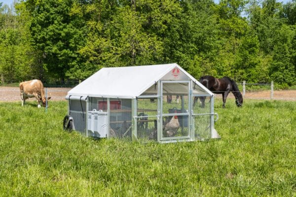A portable chicken coop with chickens inside sits on grass, with a cow and a horse grazing nearby in a field bordered by trees.