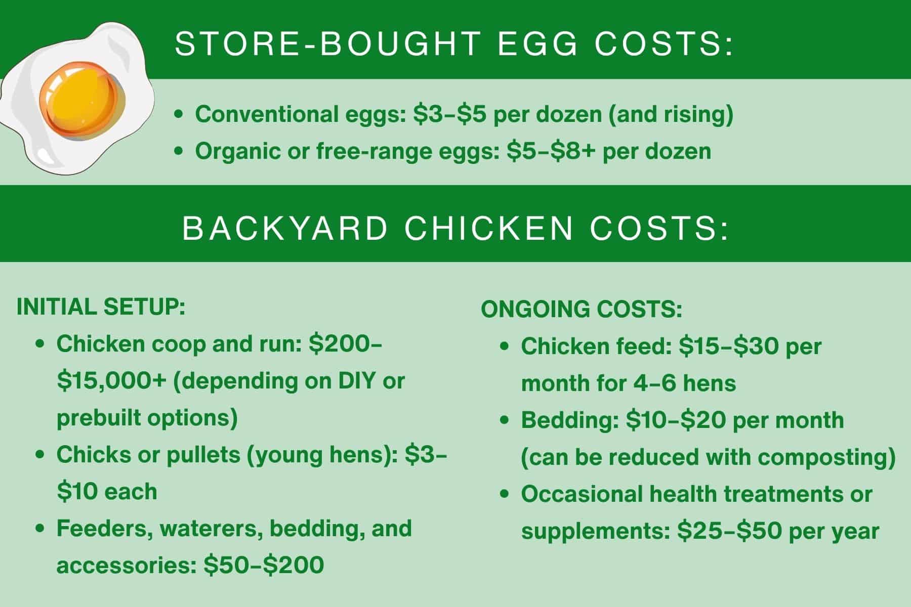 Minigraphic 1 Comparison chart showing store-bought egg costs ($3–$8 per dozen) and backyard chicken costs, including setup, feed, bedding, and health expenses.