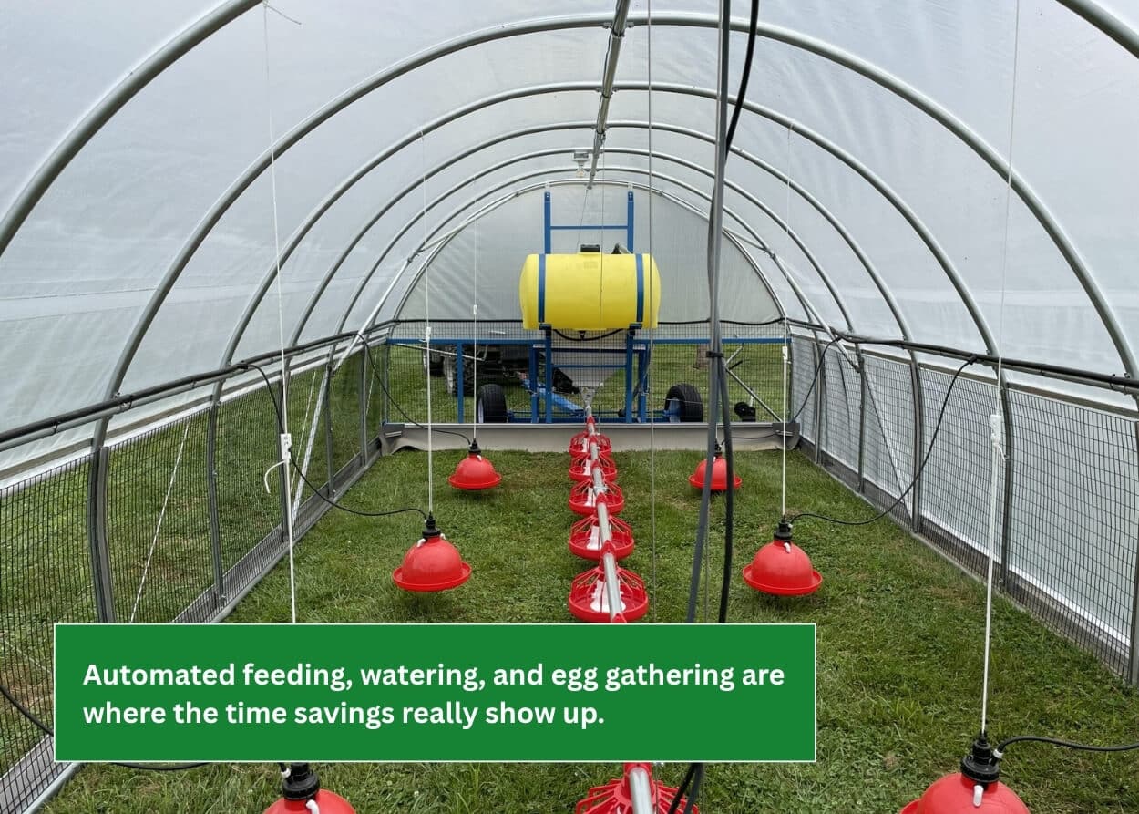 Interior of a mobile chicken house featuring automated feeders, drinkers, and watering system.