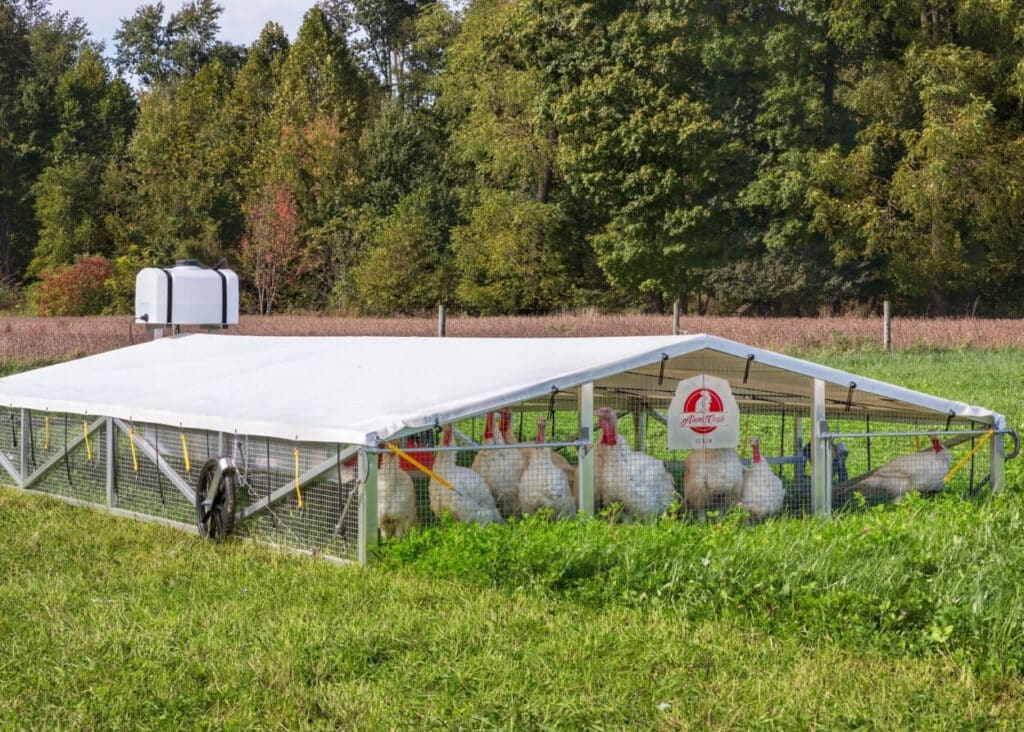 Mobile Chicken House ROI: What to Expect From Your Investment 1